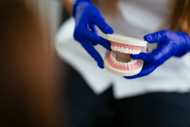 Trusted Brier, WA  Holistic Dental Services Experts